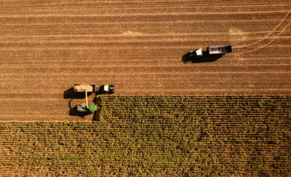 ΑΑΔΕ-myAGRO: Απλουστεύσεις στην υποβολή της Ενιαίας Αίτησης Ενίσχυσης
