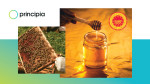 Το «Μέλι Κισσούρι» από τη Ν. Εύβοια, κατοχυρώνεται ως ΠΟΠ