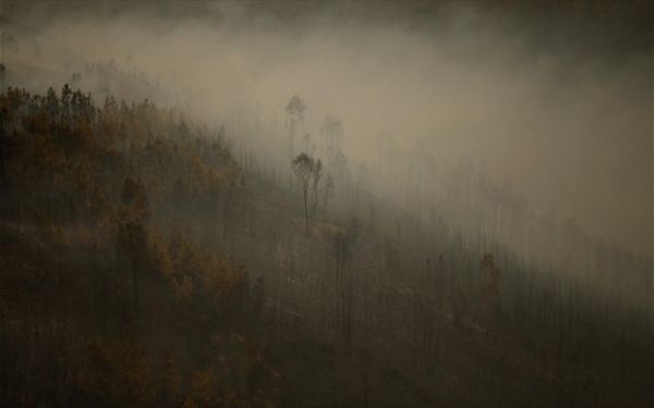 Πορτογαλία: 950.000 στρέμματα και πλέον παραδόθηκαν στις φλόγες τον Αύγουστο