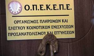 ΟΠΕΚΕΠΕ: Καταβλήθηκαν €8,5 εκατ. σε 842 δικαιούχους