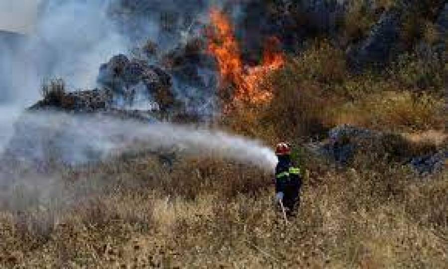 Σε εξέλιξη πυρκαγιές σε Επίδαυρο, Λίμνη Ευβοίας και Χαλκιδική