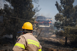 Παρέμβαση Αρείου Πάγου για αθώωση πυροσβέστη που ομολόγησε εμπρησμούς