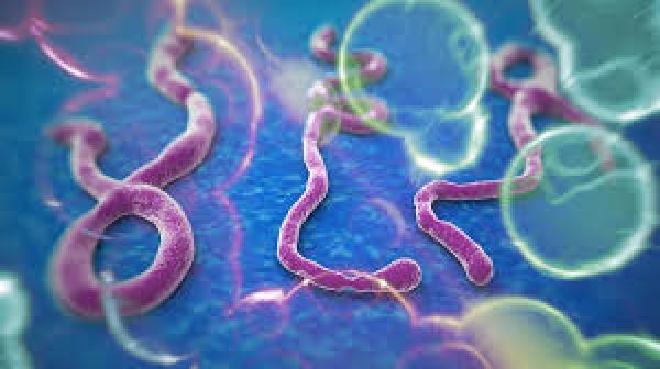 Το κακό σενάριο για τον Ebola δια στόματος… Goldman Sachs
