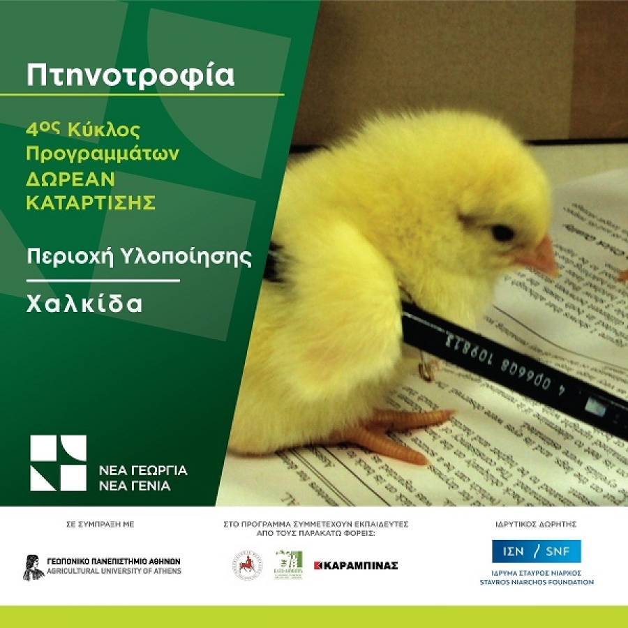 Πτηνοτροφία: Δωρεάν πρόγραμμα κατάρτισης από τον Οργανισμό «Νέα Γεωργία Νέα Γενιά»