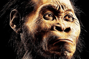 Homo naledi... O νέος συγγενής μας