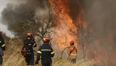 Πυρκαγιά σε χαμηλή βλάστηση στη Νέα Τυρολόη Σερρών