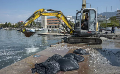 Βόλος: Μήνυση από τον Εμπορικό Σύλλογο για τα νεκρά ψάρια