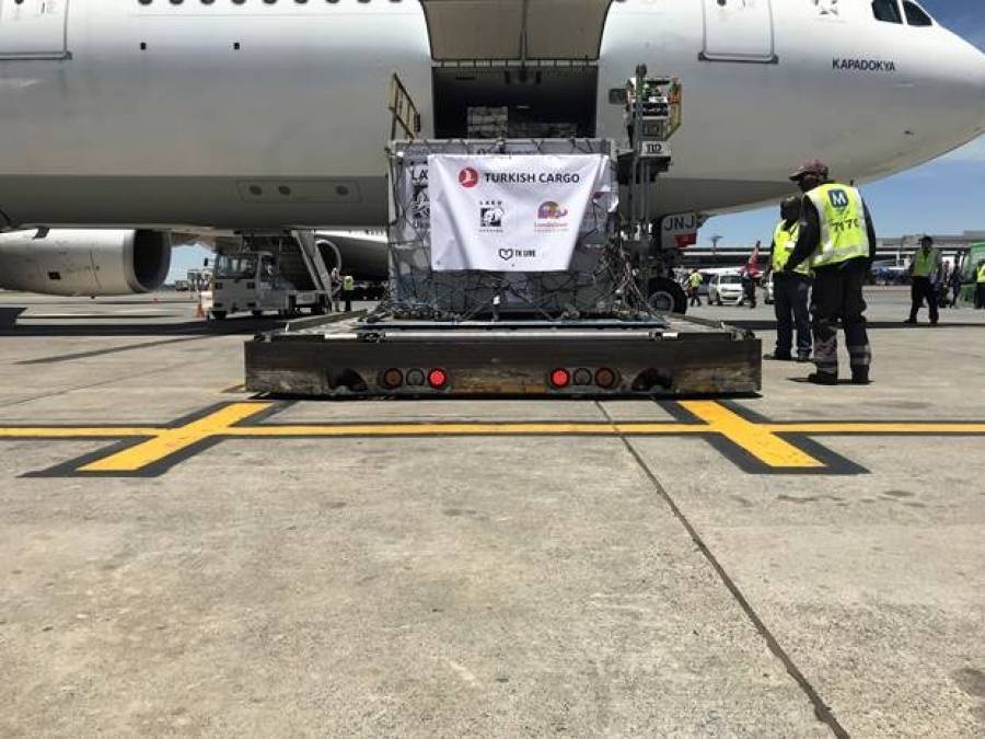 Turkish Cargo: Μετέφερε λιοντάρια του τσίρκου στο φυσικό τους περιβάλλον