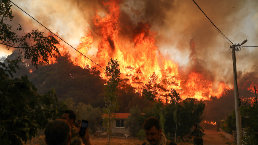 Τουρκία: 11 νεκροί από μεγάλη αγροτική πυρκαγιά