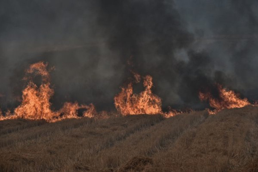 Πυρκαγιές 2021: Εκδόθηκε ΚΥΑ για την τελική επιχορήγηση των αγροτών