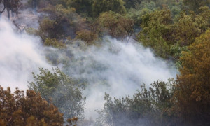 Μεγάλη φωτιά στη Χαλκιδική- Ήχησε το 112