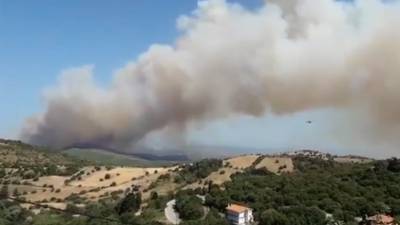 Σε ύφεση τα μέτωπα της φωτιάς στην Εύβοια