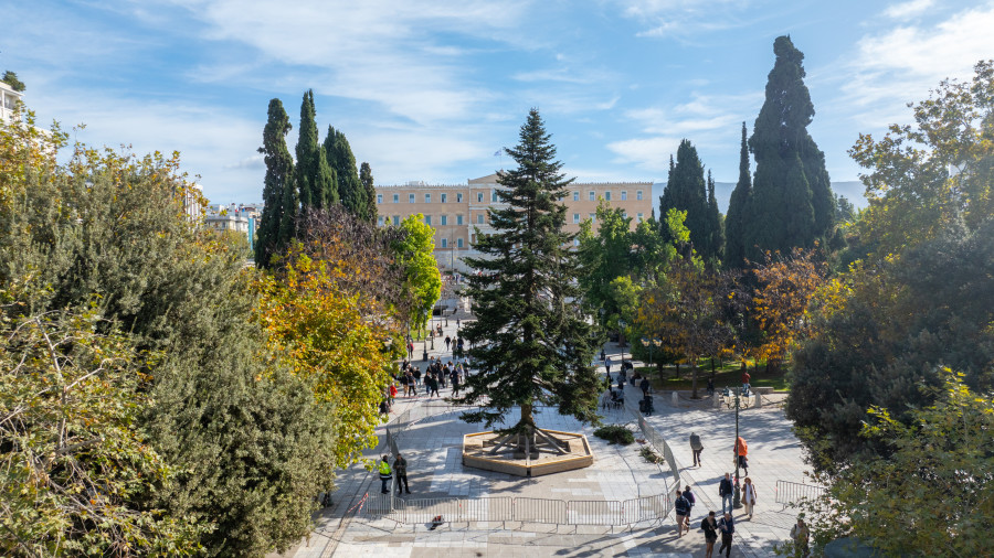 Γιορτή στο Σύνταγμα: Πότε ανάβει το Χριστουγεννιάτικο Δέντρο της Αθήνας