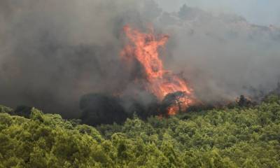 Φωτιές σε Μικροθήβες Μαγνησίας και Λογγίτσι Φθιώτιδας