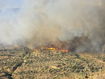 Συνελήφθη άνδρας για τη φωτιά στον Διόνυσο Κερατέας