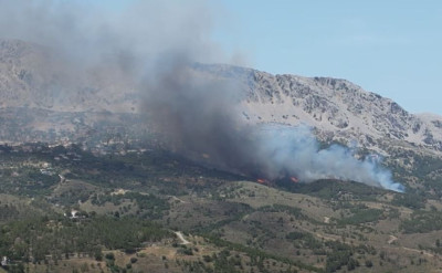 Μεγάλη δασική φωτιά στη Χίο- «Ήχησε» το 112 (video)