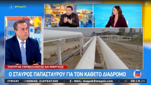 Παπασταύρου: Ο Κάθετος Διάδρομος είναι ένα έργο εθνικής σημασίας και ευρωπαϊκής εμβέλειας