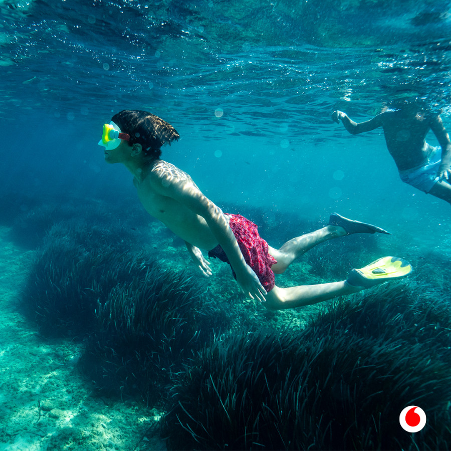Vodafone: Ψηφιακή πλατφόρμα με εικόνες από το υποθαλάσσιο παρατηρητήριο Ποσειδωνίας