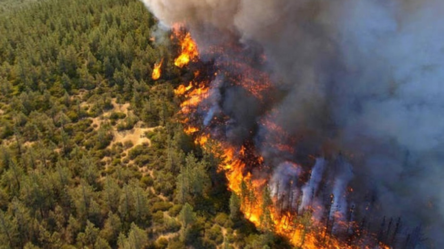 Κύπρος: Ανεξέλεγκτη πυρκαγιά στην Πάφο- Εκκενώνονται χωριά