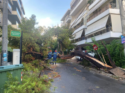 Πτώση δέντρων στο Νέο Ψυχικό από την κακοκαιρία