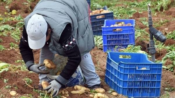 Μέχρι 31 Δεκεμβρίου οι προσλήψεις αλλοδαπών εργατών γης