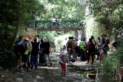 Δήμος Χαλανδρίου: Εθελοντές και μαθητές καθάρισαν τη Ρεματιά