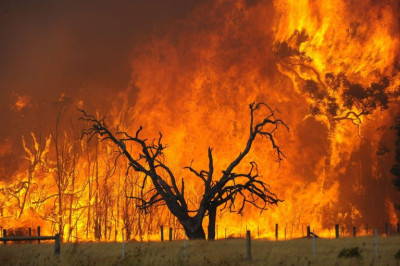 Πυροσβεστική: 50 αγροτοδασικές πυρκαγιές το τελευταίο εικοσιτετράωρο