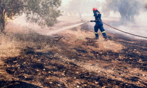 «Καταπέλτης» ο Συνήγορος του Πολίτη για τα μέτρα πυροπροστασίας