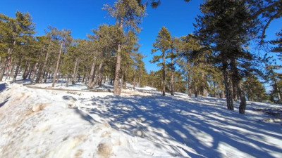 Meteo: Ο φετινός χειμώνας ήταν ο θερμότερος στη Βόρεια Ελλάδα