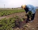 Νέος γύρος κινητοποιήσεων για τους αγρότες