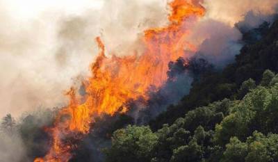 Φωτιά στο δάσος της Στροφυλιάς Ηλείας