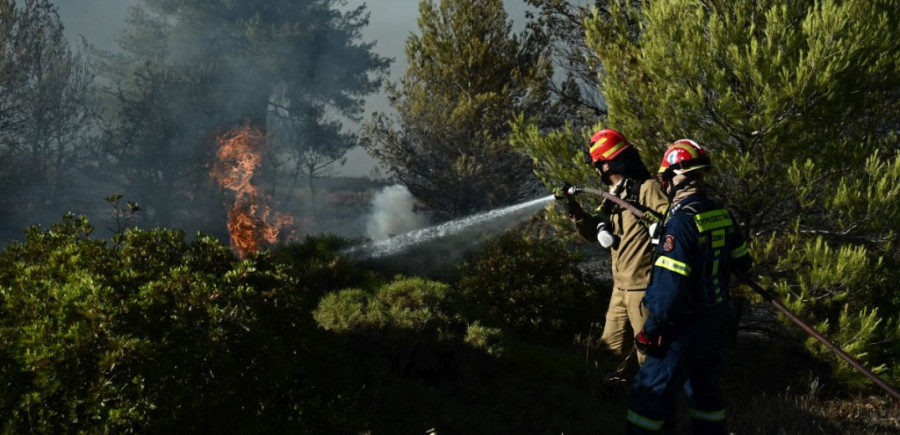 Δήμος Αθηναίων: Συνεχής υποστήριξη στην κατάσβεση των πυρκαγιών στην Αττική