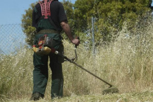 Καθαρισμός οικοπέδων: Άνοιξε η πλατφόρμα για τις δηλώσεις- Τα πρόστιμα