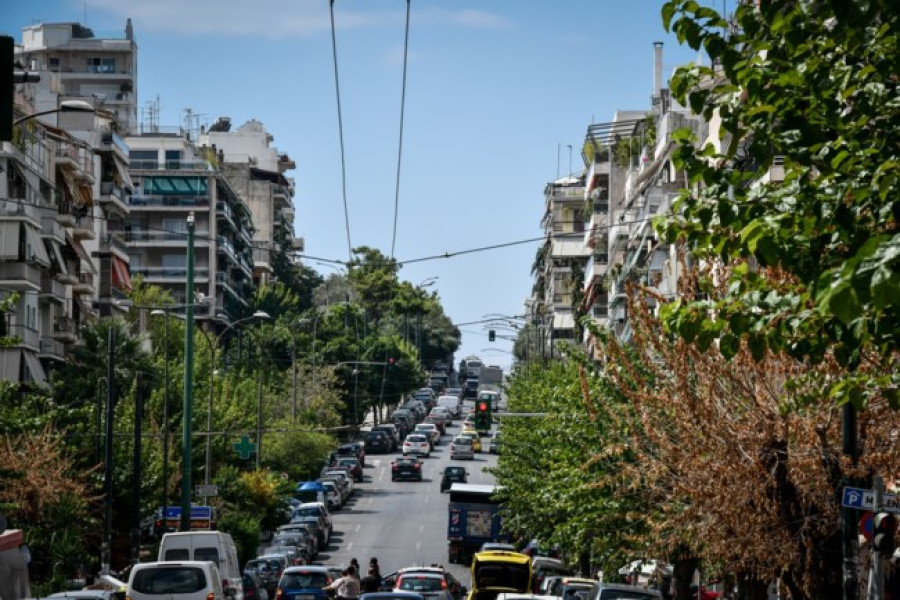 Δήμος Αθηναίων: Ασπίδα προστασίας για 8.000 μουριές