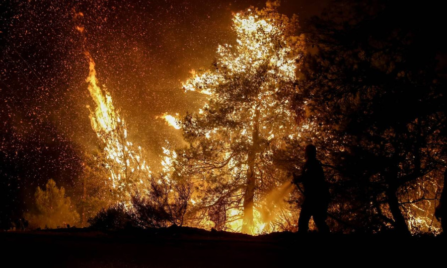 Φωτιά στον Έβρο: Δύο παιδιά ανάμεσα στις απανθρακωμένες σορούς