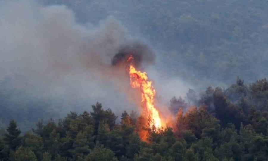 Πυρκαγιά σε δασική έκταση στο Πόρτο Γερμενό