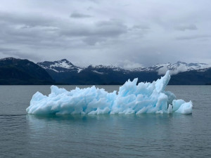 World Weather Network: Οι καλλιτέχνες αντιδρούν στην κλιματική κρίση