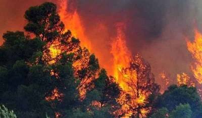 Υπό έλεγχο η μεγάλη πυρκαγιά στο δάσος της Στροφυλιάς