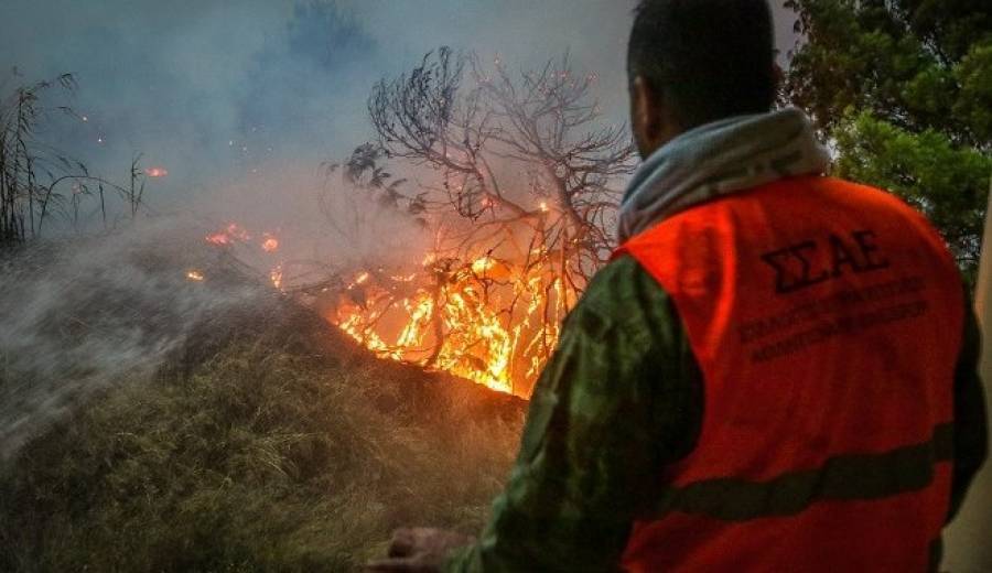 Υπό έλεγχο τέθηκε πυρκαγιά στη Ρόδο