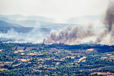 Πυρκαγιές Αττικής: Στο πλαίσιο της κρατικής αρωγής οι αγροτικές εκμεταλλεύσεις