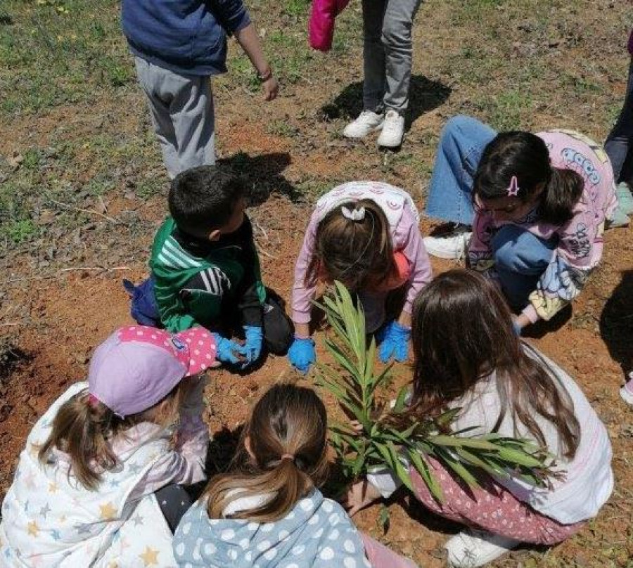 Αναδάσωση στο Πάρκο Ανθούσας με τη στήριξη της Αττικής Οδού