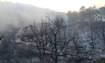 Ταμείο Ανακούφισης για τους πυρόπληκτους ιδρύει η Ιερά Αρχιεπισκοπή Αμερικής