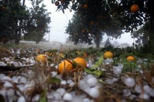 Παράταση αιτήσεων αγροτών για τα συστήματα πρόληψης ζημιών