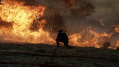 Πυρκαγιά ξέσπασε στο Καλαμάκι Ζακύνθου