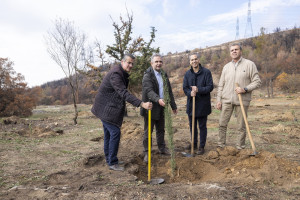 Η Nova ξεκίνησε την Αναδάσωση της Ιεράς Μονής Πεντέλης