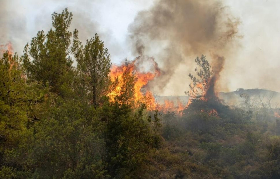 Φωτιά στη Φθιώτιδα- Μήνυμα 112 για εκκένωση στο χωριό Κορομηλιά