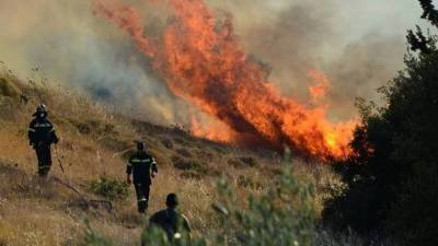 Σε εξέλιξη η μεγάλη πυρκαγιά στην Στροφυλιά