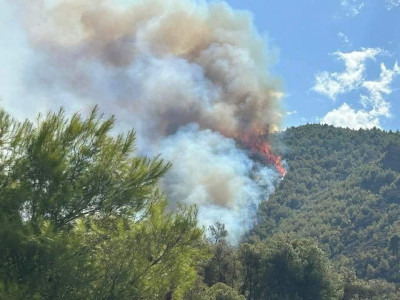 Κορινθία: Άνω των 70.000 τα καμένα στρέμματα