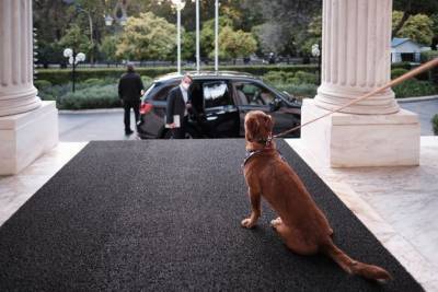 Η «προεδρική» Καλυψώ απέκτησε γείτονα τον «πρωθυπουργικό» Πίνατ