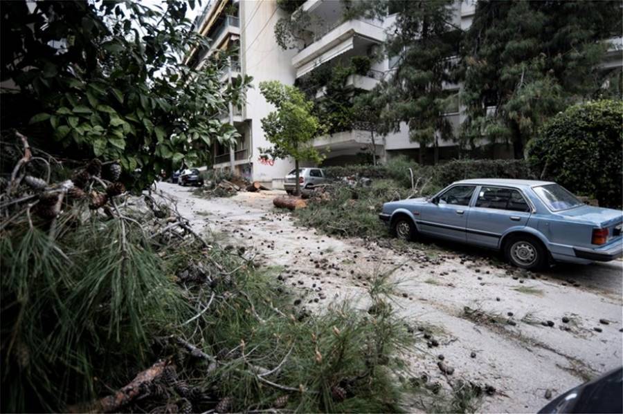 Δέντρο καταπλάκωσε 12 αυτοκίνητα στη Νέα Σμύρνη-Συνεχείς κλήσεις στην πυροσβεστική